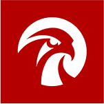 Falcons Beyond