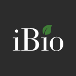 iBio